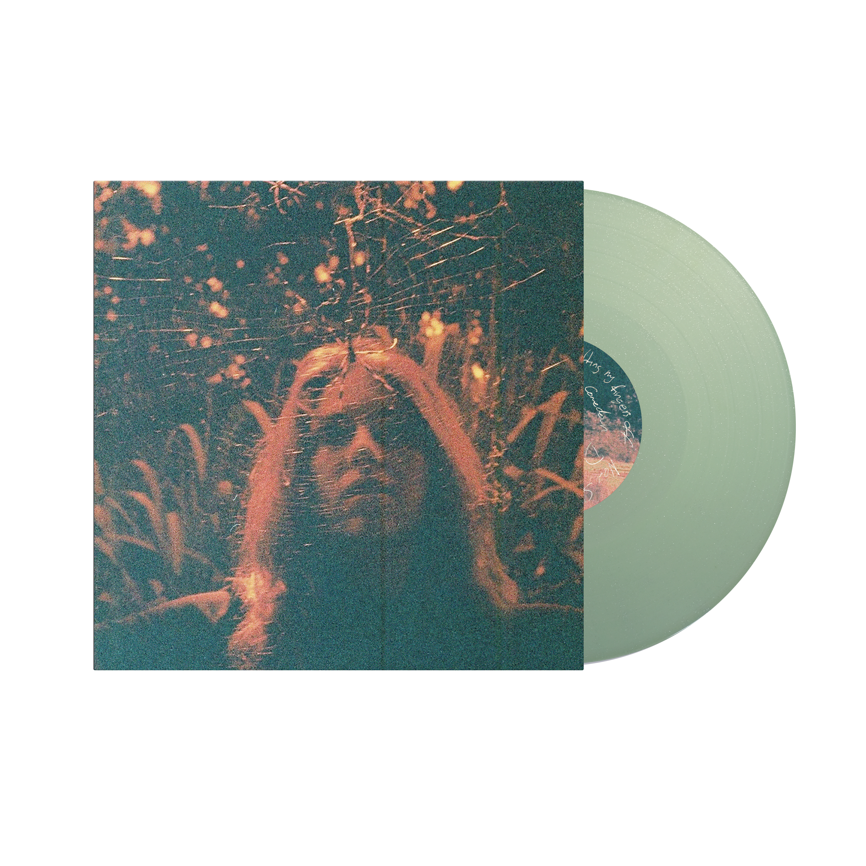 The birthday ⁄ VISION LP The Birthday VISION レコード LP
